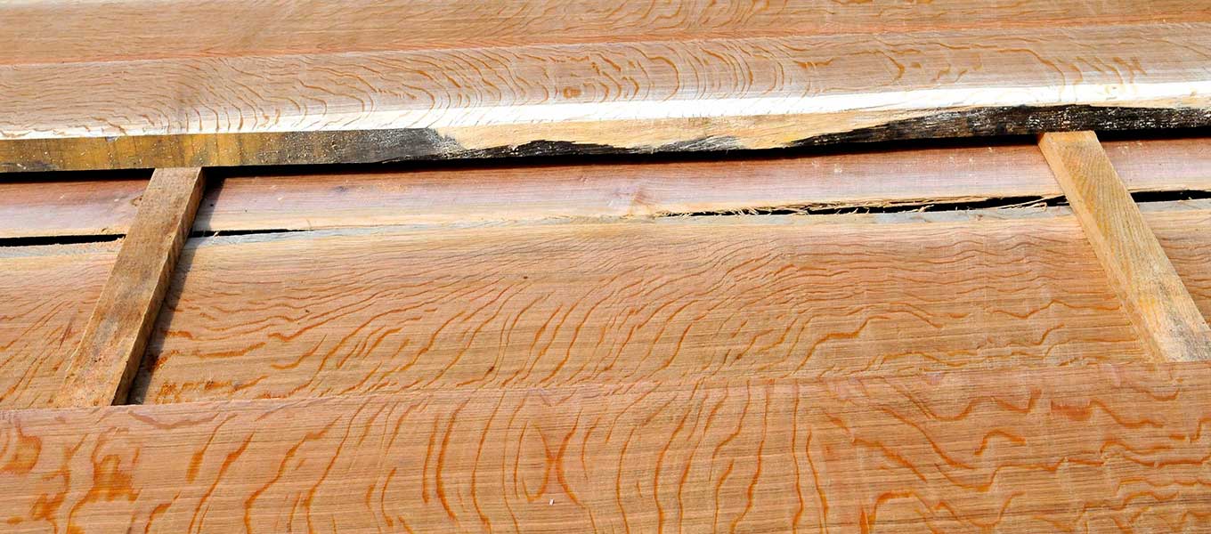 Trvanlivé dřevo | Dubové řezivo